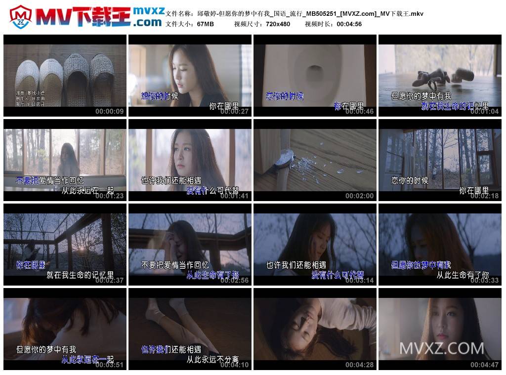 邱敬婷-但愿你的梦中有我_国语_流行_MB505251